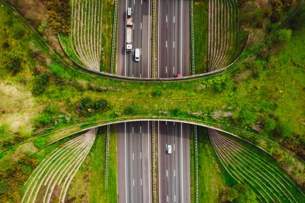 Aerial view by drone of the Ecoduct De Borkeld for the wildlife, crossing above multiple highway with bicycle lane bridge and people commuting in the green Netherlands during springtime.